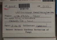 Image Associated With the Occurence